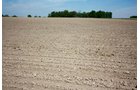Property photo 6 - REAL ESTATE AUCTION - 126+/- ACRES OFFERED IN 4 TRACTS IN GREENE COUNTY, INDIANA